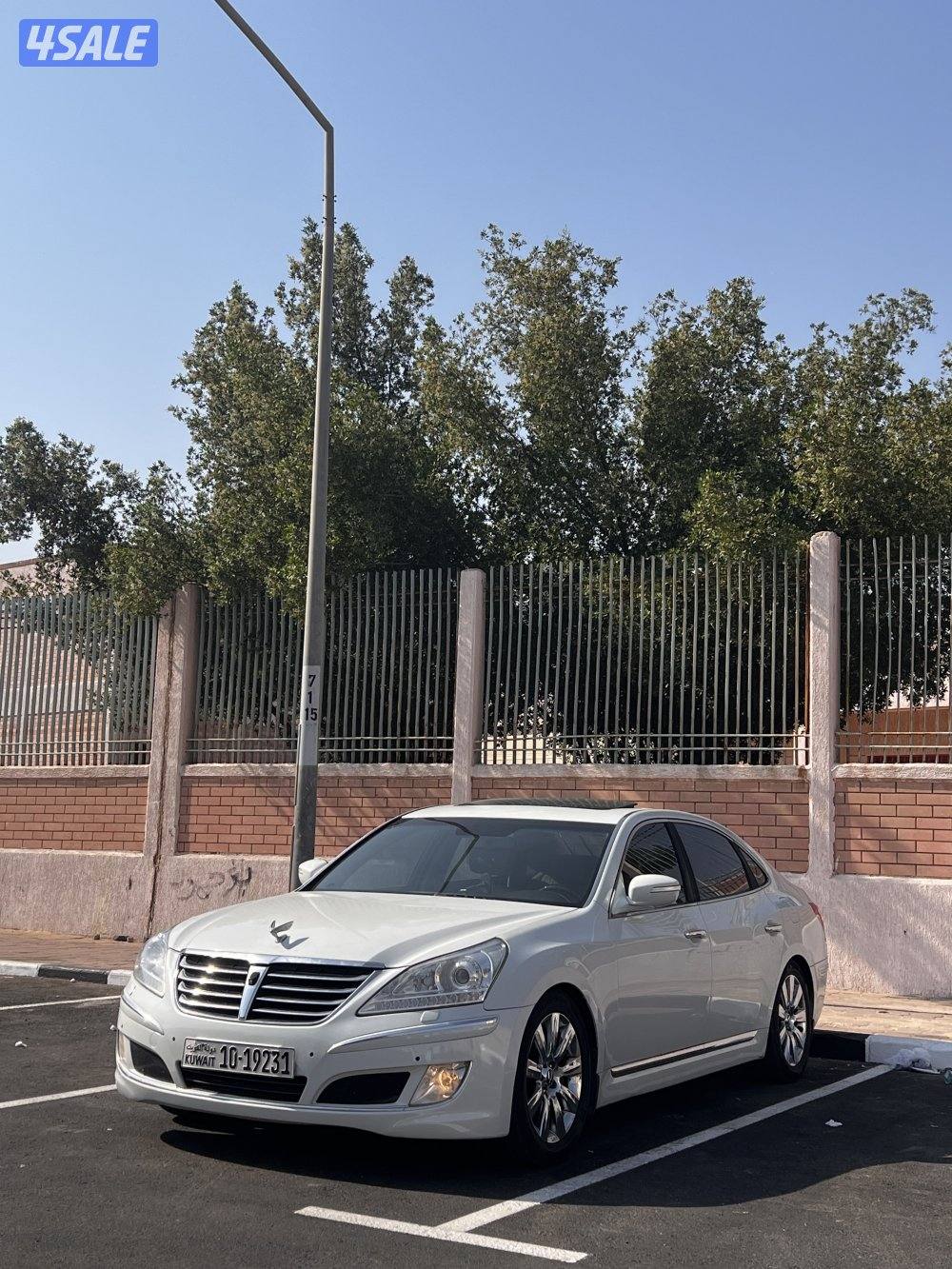 للبيع سوبرمان وارد الوكالة XL صبغ وكالة1