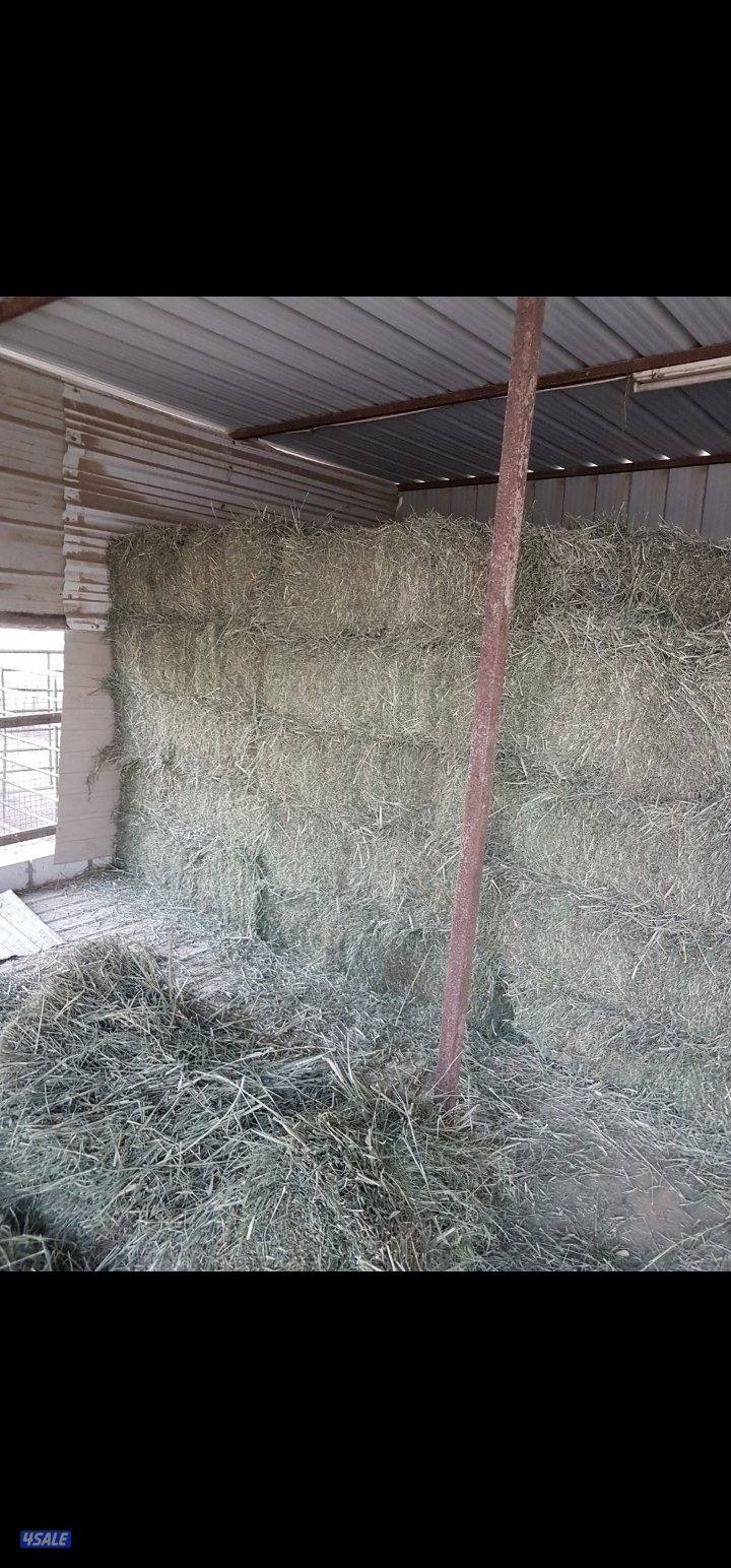 للبيع ربطات بلوبنك كبس يدي0