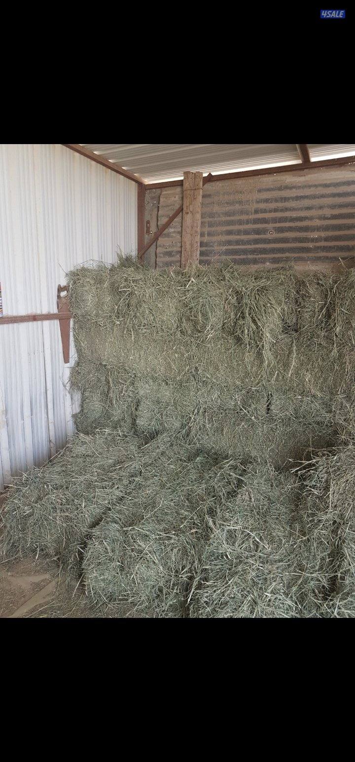 للبيع ربطات بلوبنك كبس يدي1