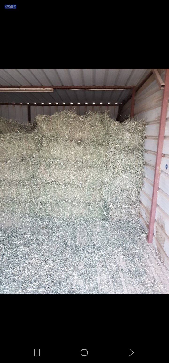 للبيع ربطات بلوبنك كبس يدي2