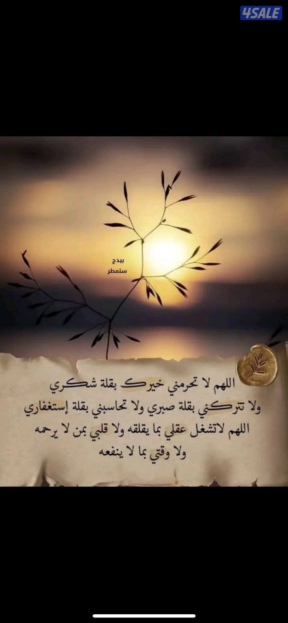 الفروانية /إشبيلية4