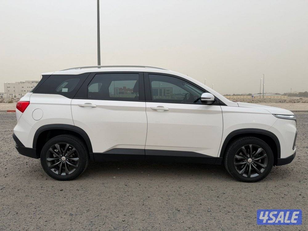 كابتيفيا 20224