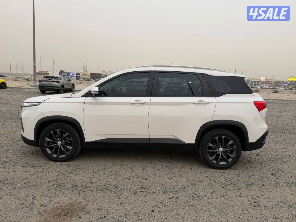 كابتيفيا 20225