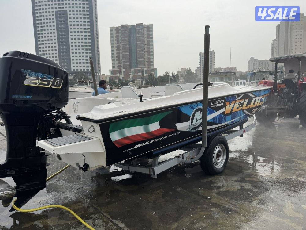 فيلوستي 20131