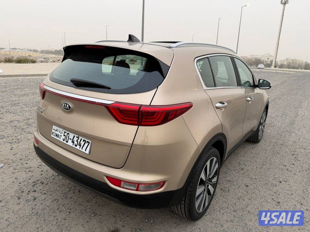 سبورتاج 2019 صبغ وكالة0