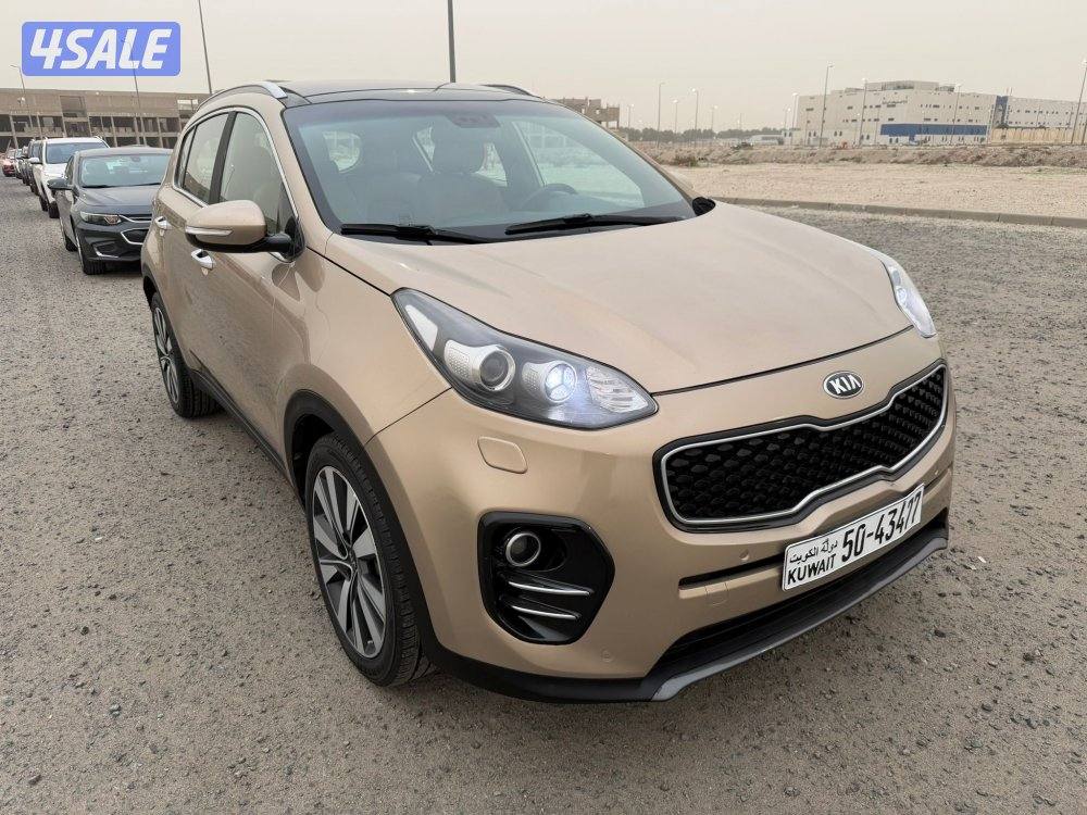 سبورتاج 2019 صبغ وكالة3