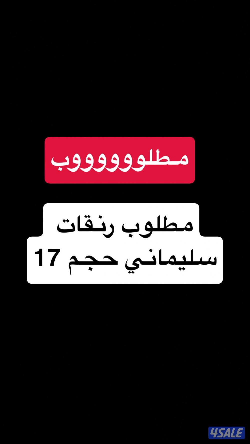 مطلوب سليماني0