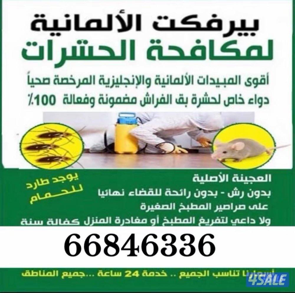 @مكافحة@حشرات@مكافحة@حشرات@مكافحة@حشرات@مكافحة@حشرات@مكافحة@حشرات@0