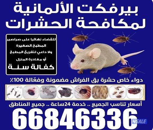 @مكافحة@حشرات@مكافحة@حشرات@مكافحة@حشرات@مكافحة@حشرات@مكافحة@حشرات@0