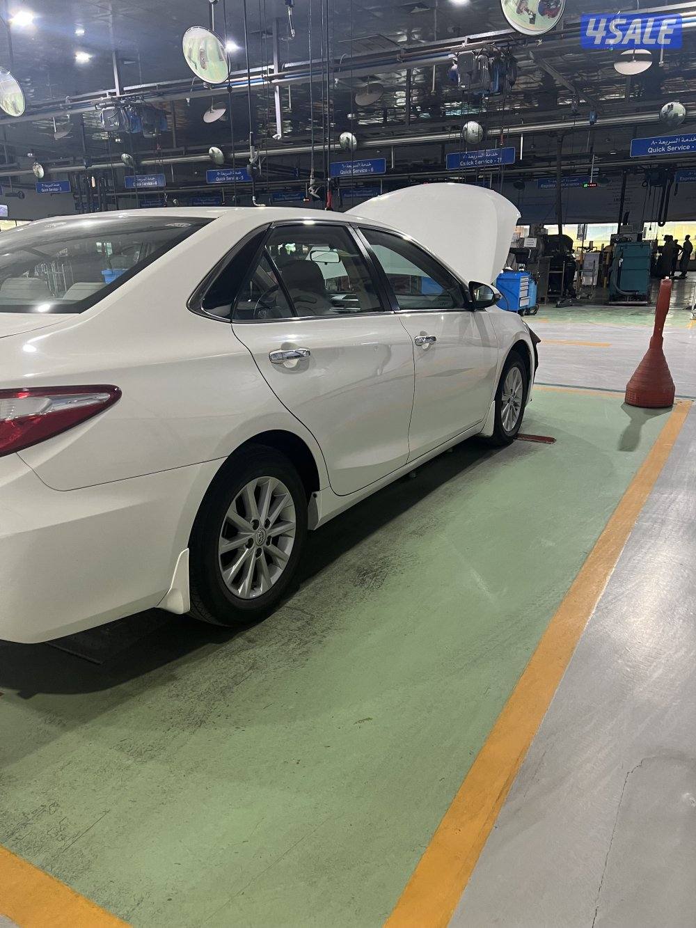 المالك الاول صبغ الوكاله2