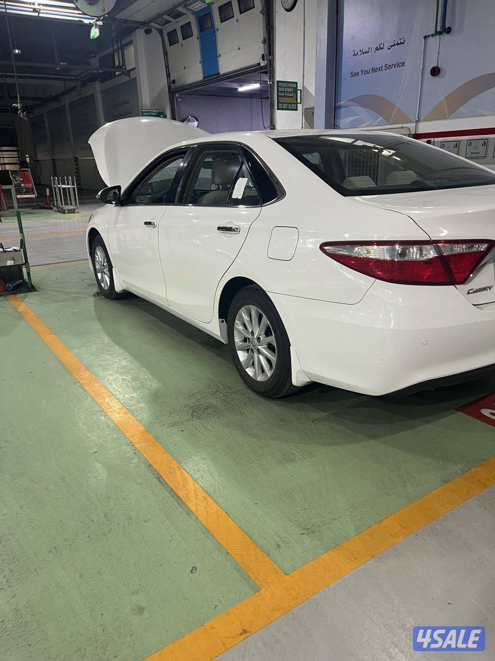 المالك الاول صبغ الوكاله3