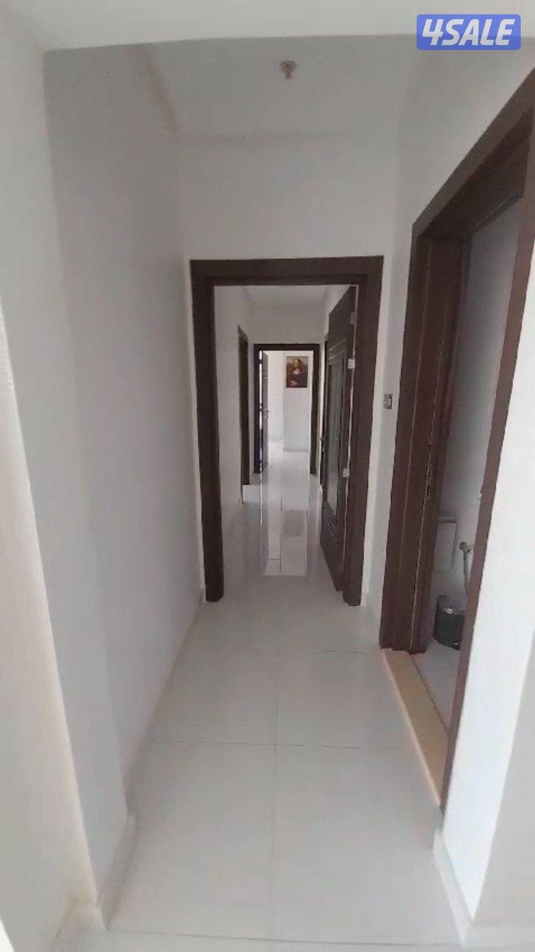 اجار ادوار علي البحر مباشرة0