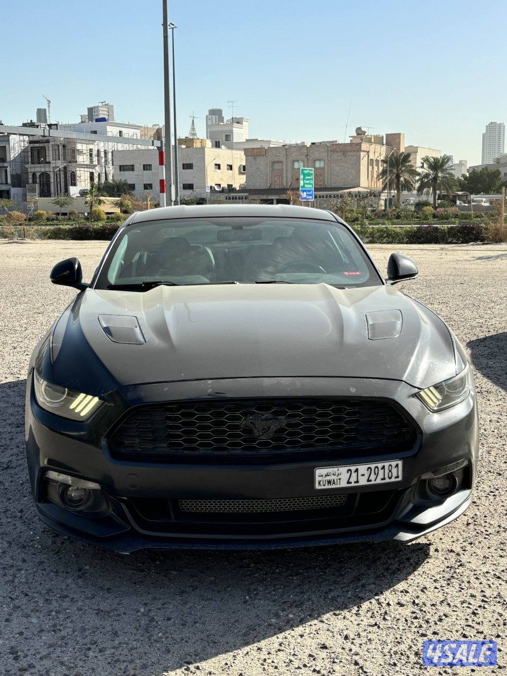 للبيع موستنق قير عادي1