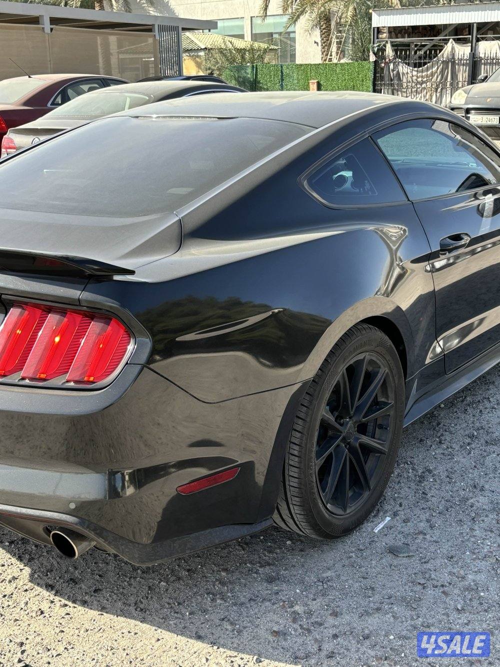 للبيع موستنق قير عادي4