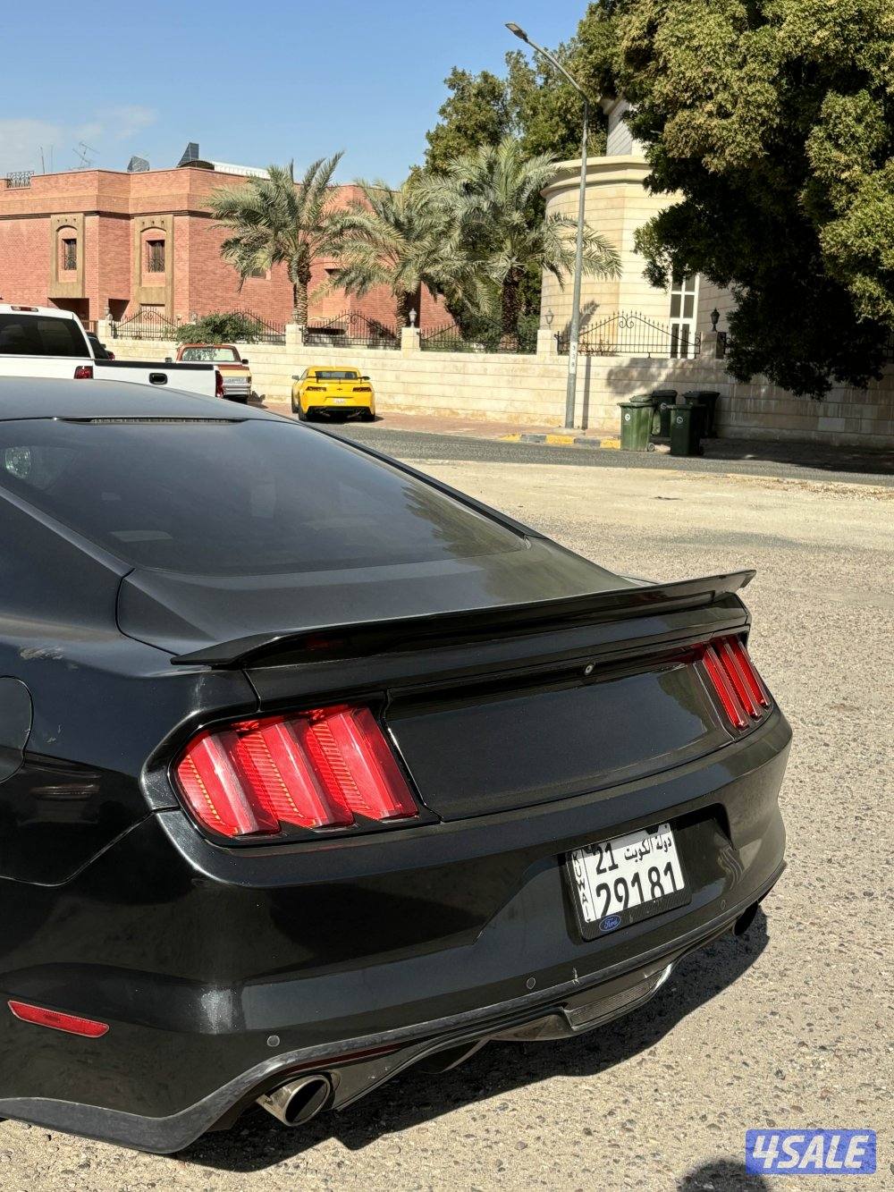 للبيع موستنق قير عادي6