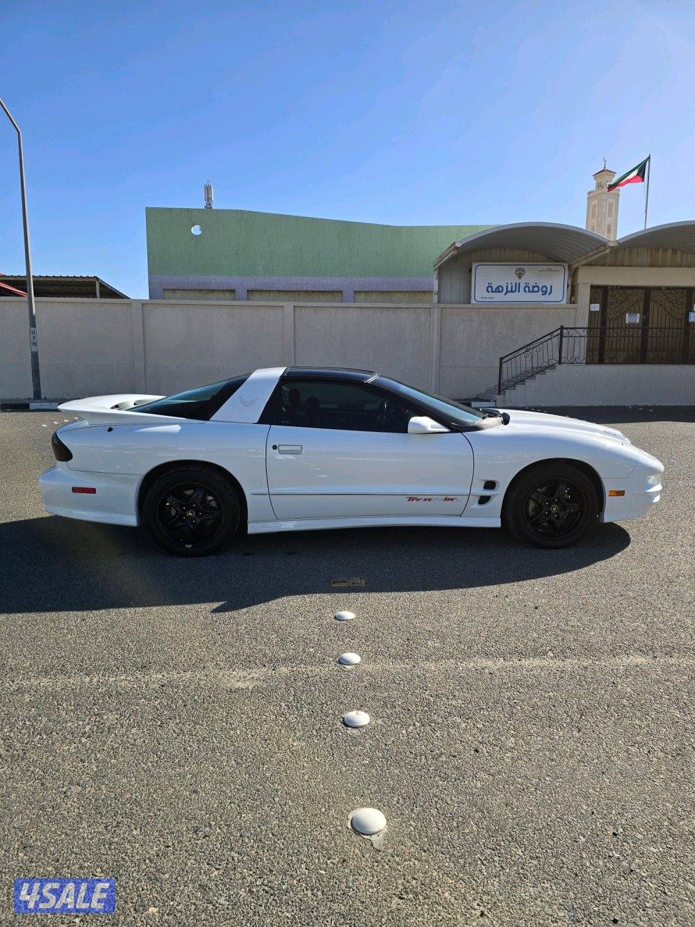 2002 Pontiac Firebird Trans Am WS6 ترانز ام1