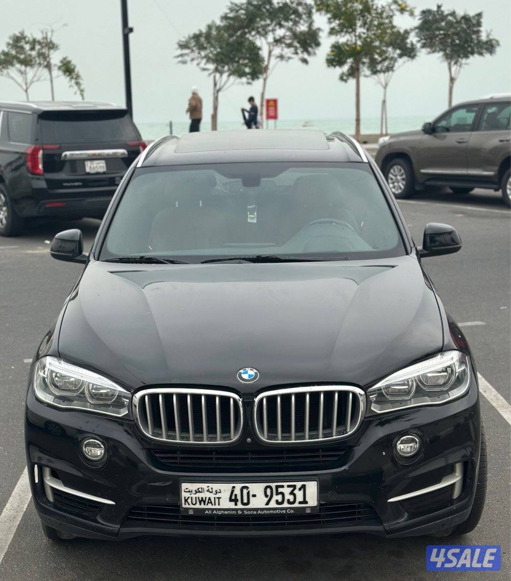 BMW X5  صبغ الوكالة بالكامل0