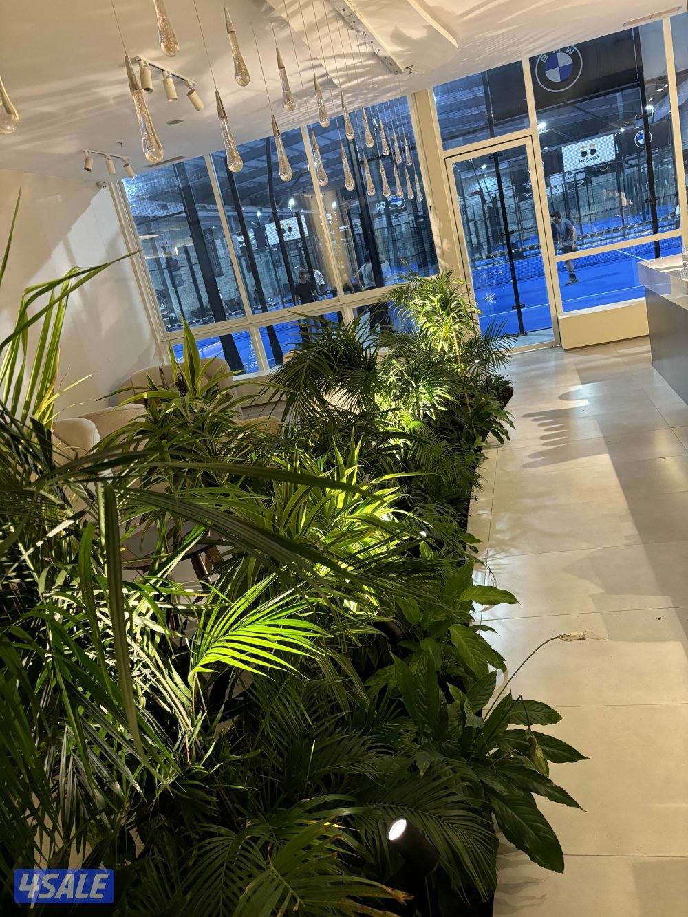 مقاول كهرباء وإنارة13