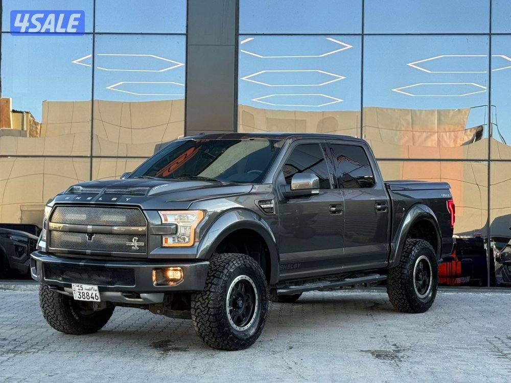 FORD F150 SHELBY _20171