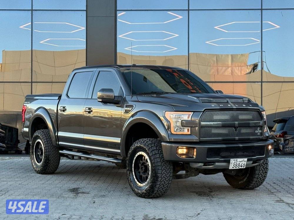 FORD F150 SHELBY _20170