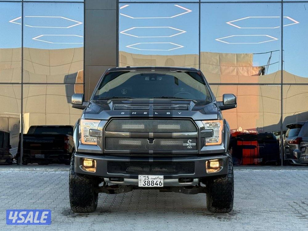 FORD F150 SHELBY _20172