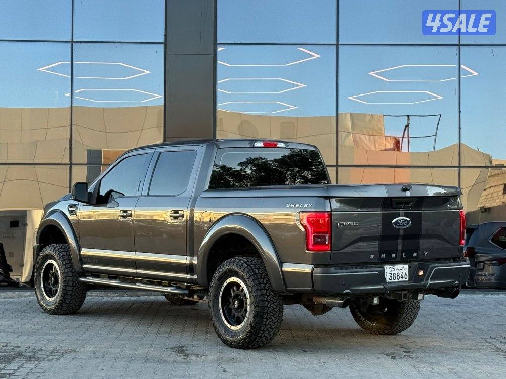 FORD F150 SHELBY _20173