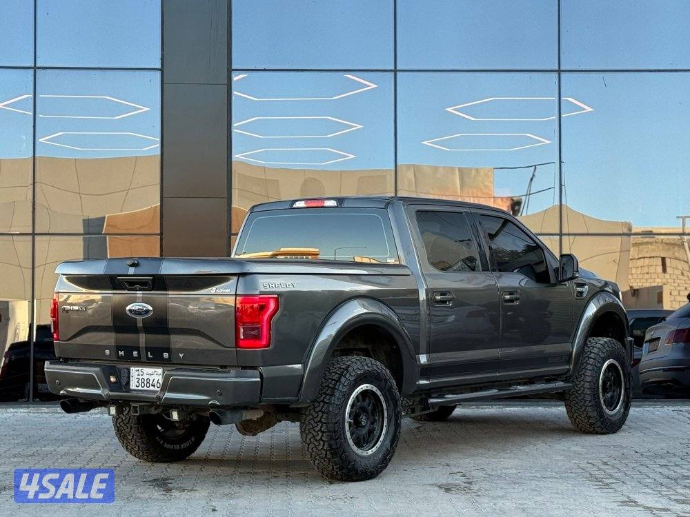 FORD F150 SHELBY _20174