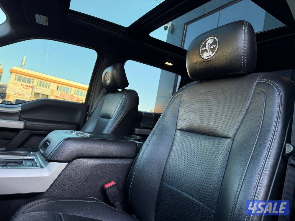 FORD F150 SHELBY _20178