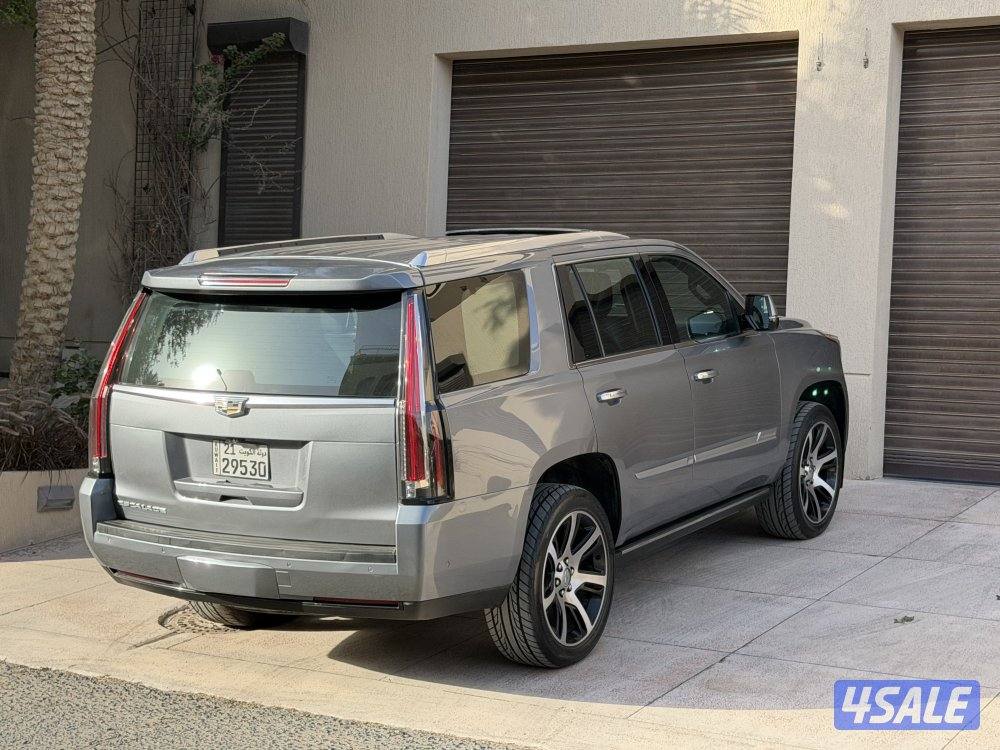 اسكاليد بلاتنيوم 20191