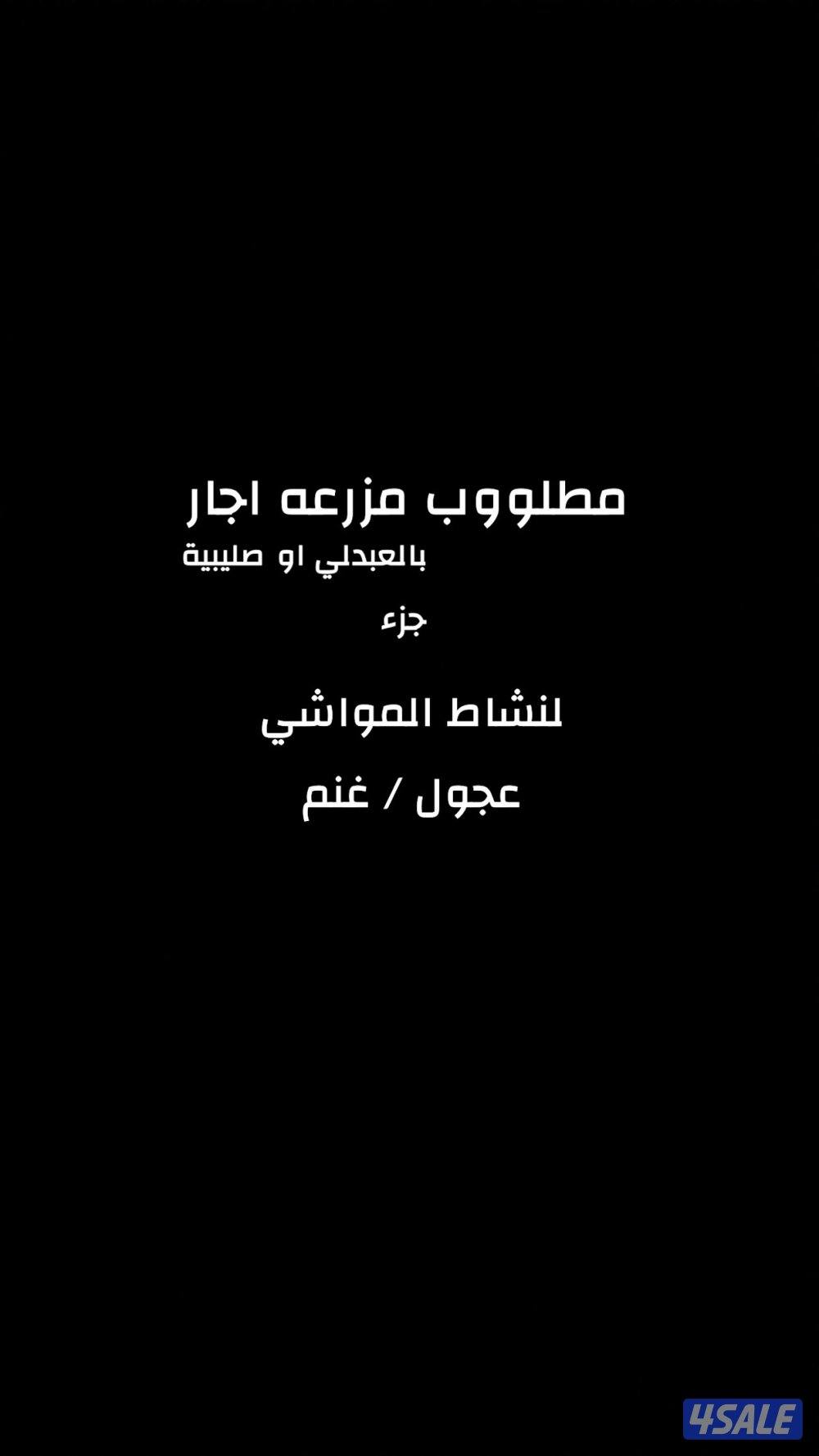 مطلوووب مزرعه بالعبدلي او صليبية اجار لنشاط المواشي0