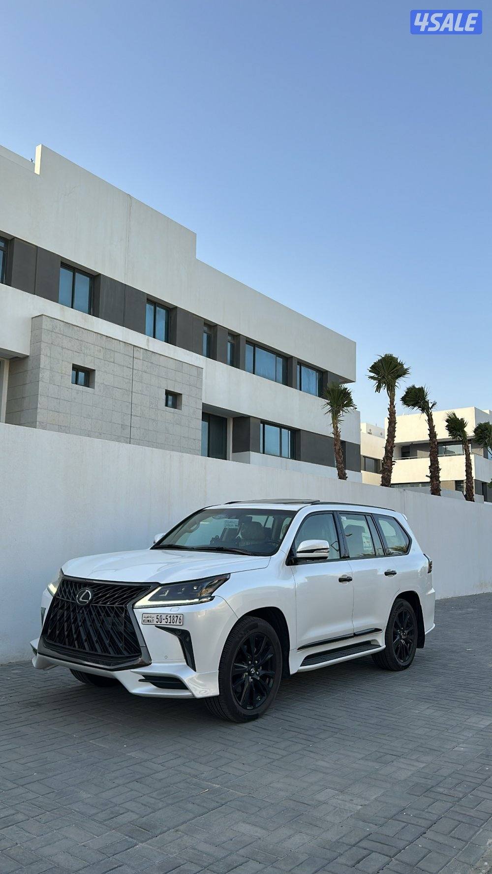 المالك الاول الساير0