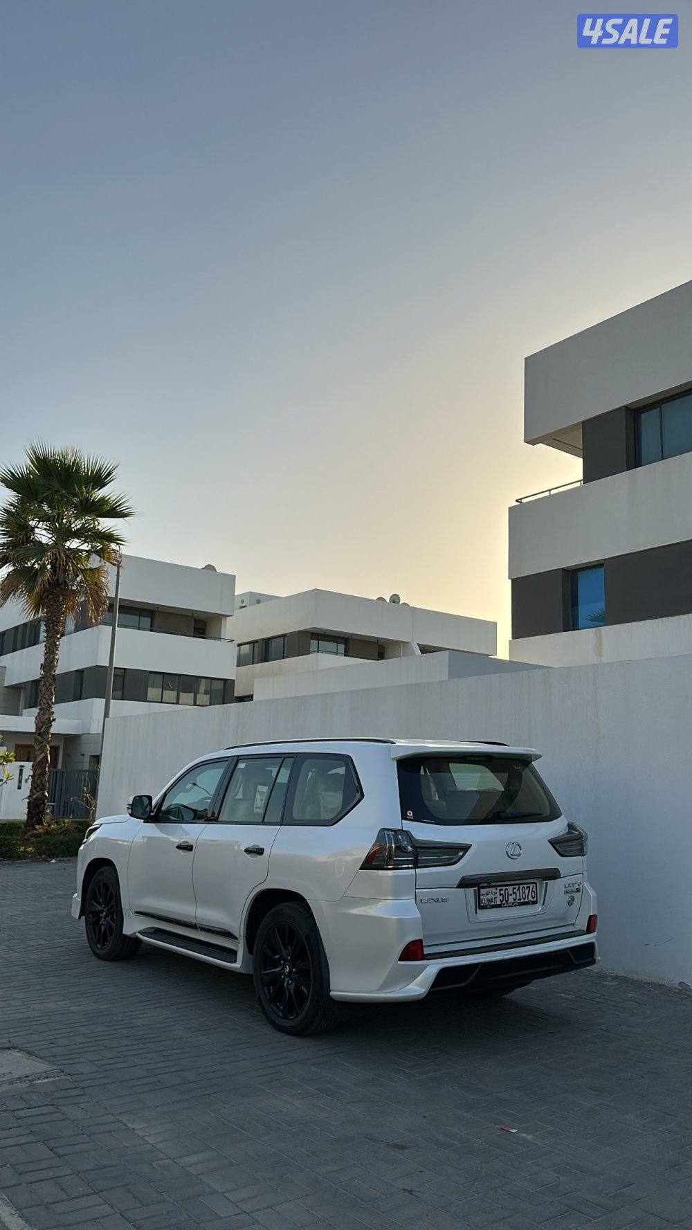 المالك الاول الساير1