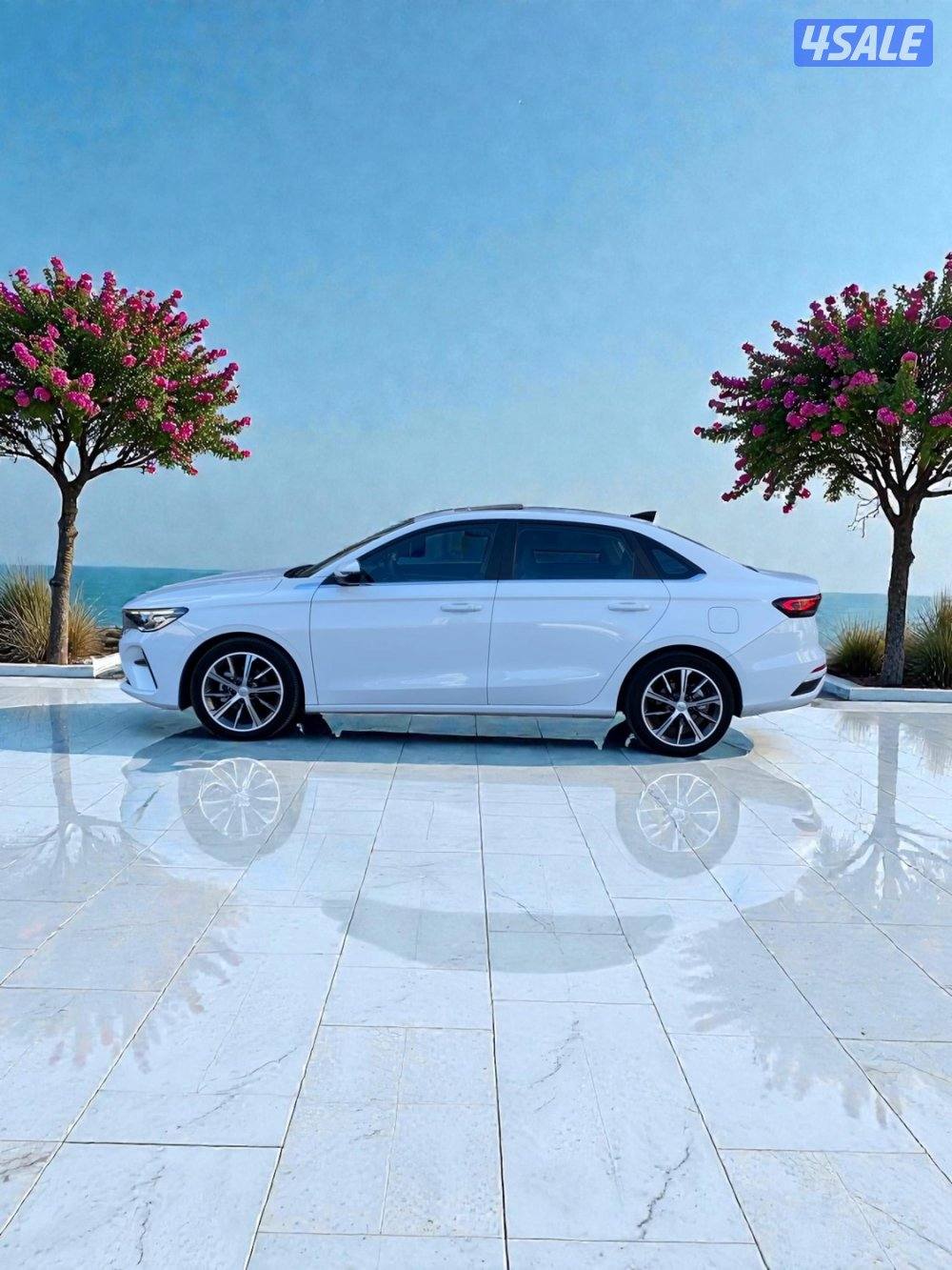 📍امجراند الفل - م٢٠٢٥ - عداد ١٦ الف - صبغ وكالة - علي الغانم 📍4