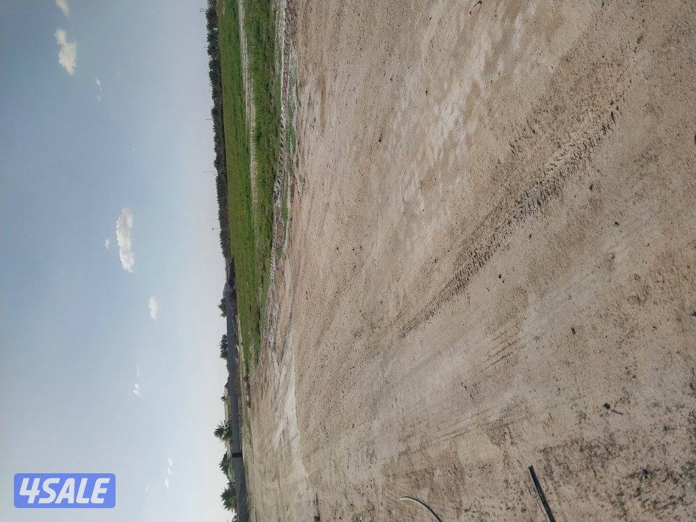 مزرعه للبيع بالعبدلي ٥٠ الف أفراد2