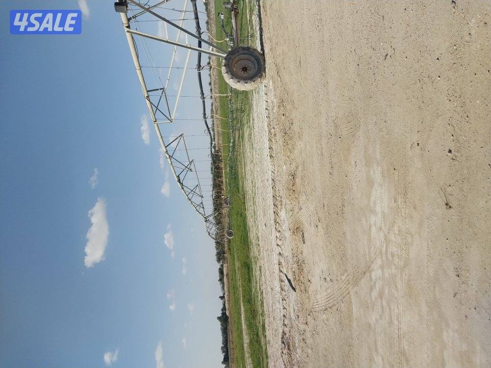 مزرعه للبيع بالعبدلي ٥٠ الف أفراد3