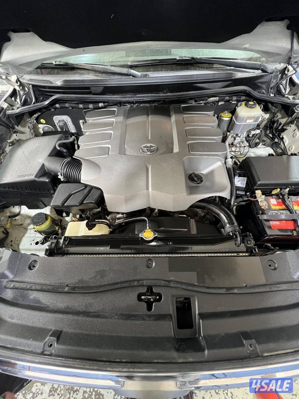 صبغ الوكاله شرط الفحص9