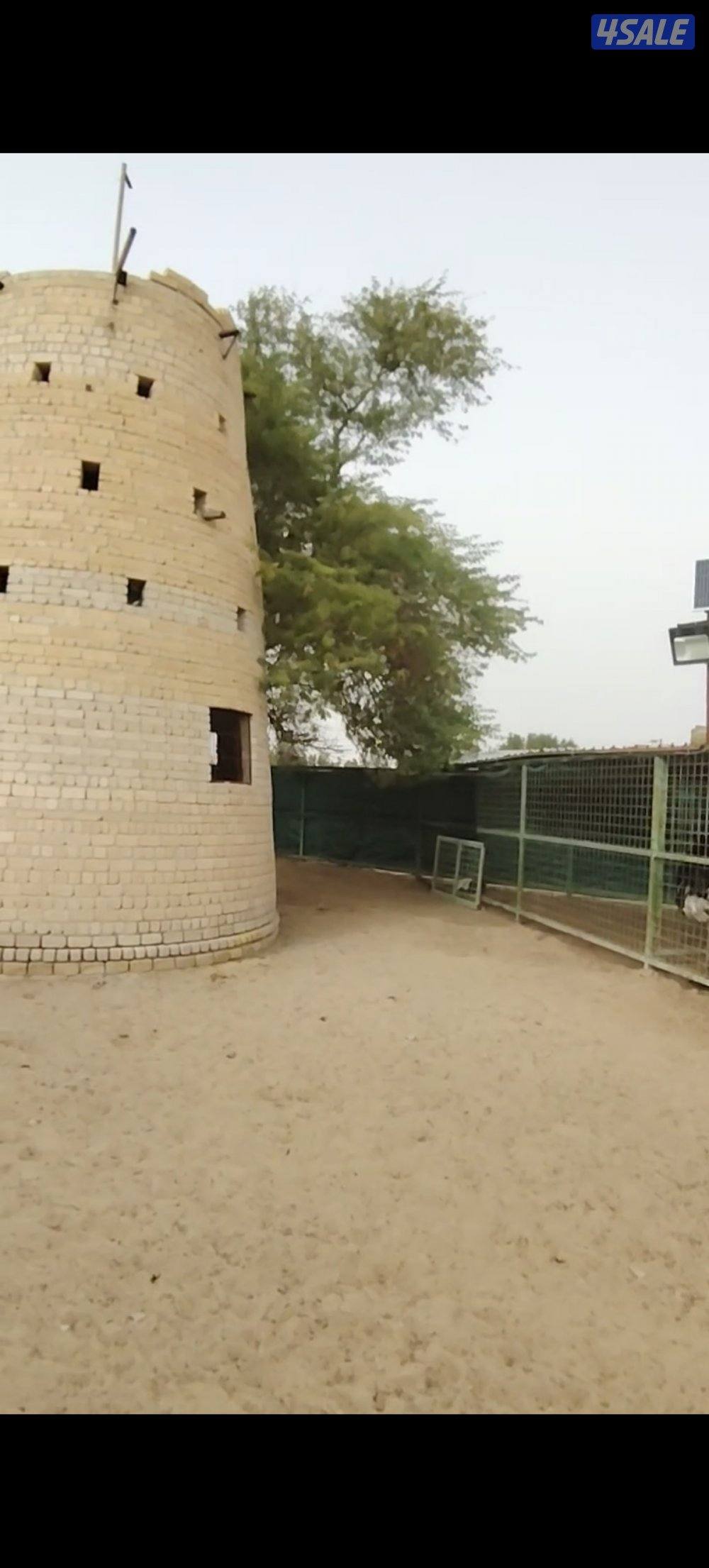 مزرعة مميزة3