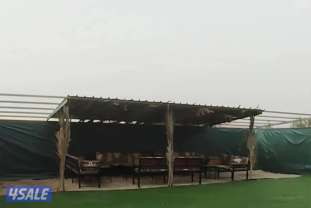 مزرعة مميزة4