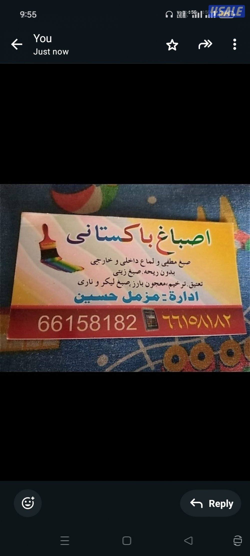 اصباغ باكستاني0