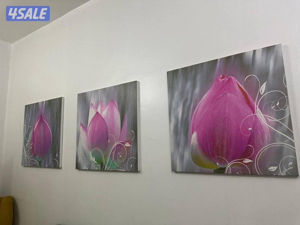 اثاث منزلي كامل9