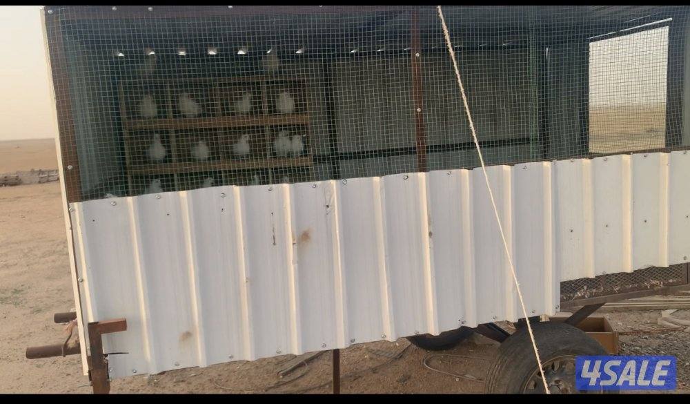 طريق الارتال السالمي6