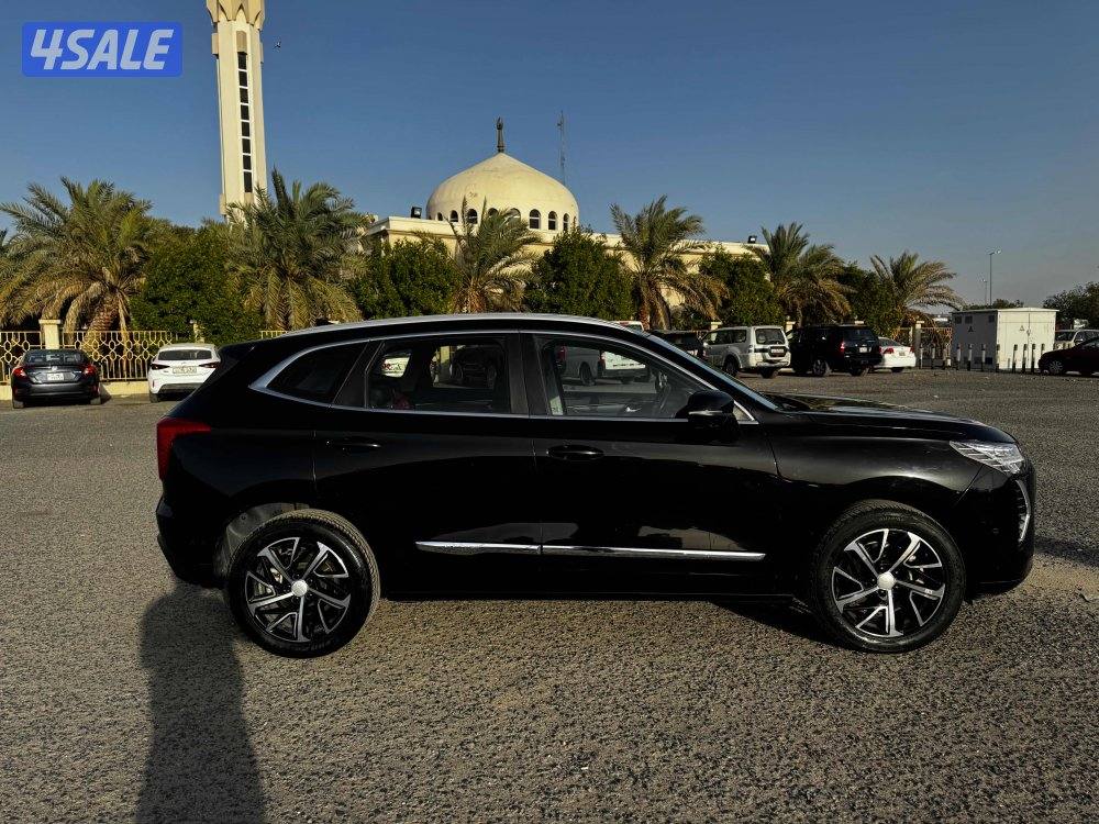 هافال جوليون 20246