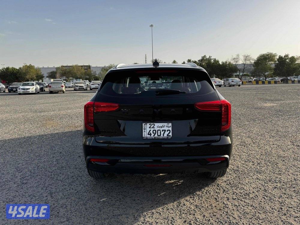 هافال جوليون 20249