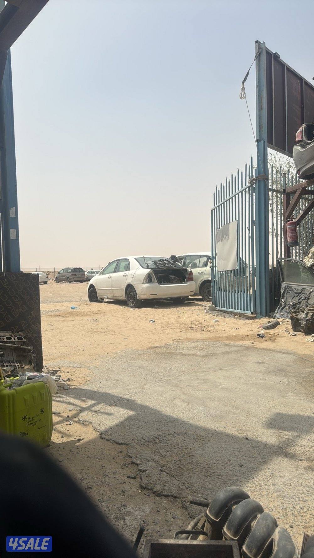 سكراب السالمي0