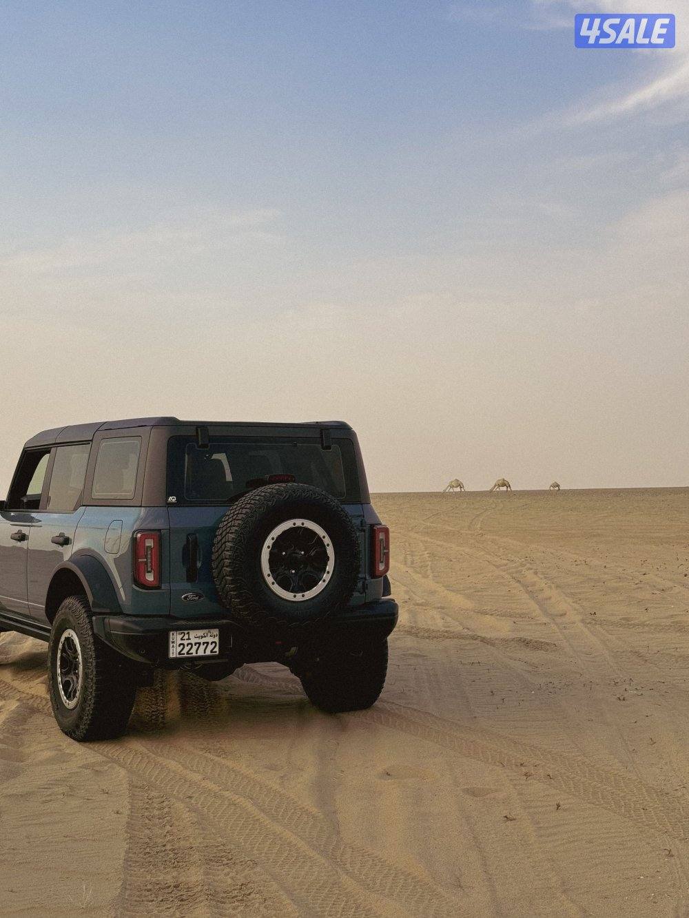 Bronco bandlands Sasquatch0