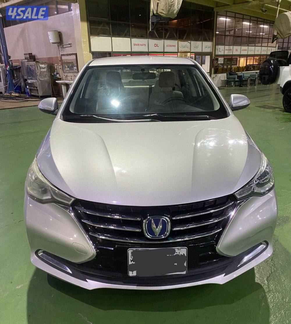 Changne alsvin 2025 for sale0