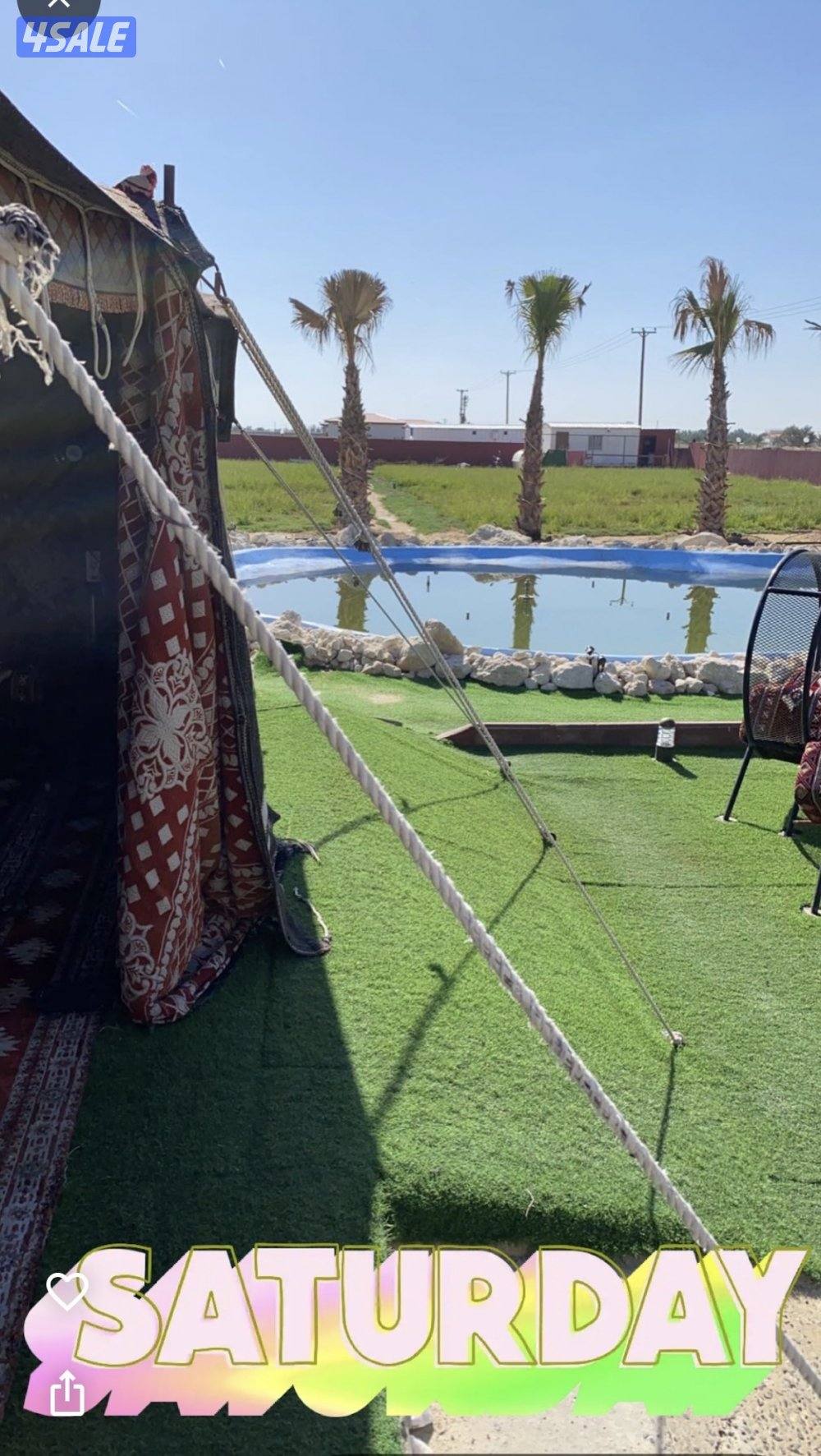 للبيع مزرعة بالعبدلي قطعه 21