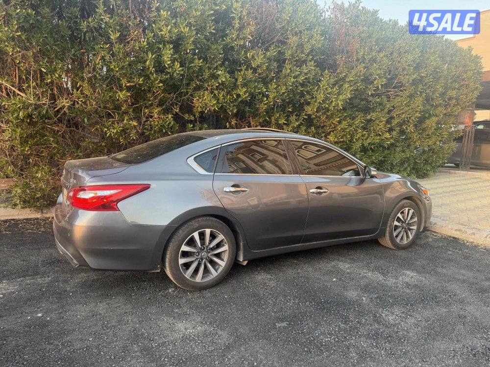 التيما 2017 الدرجه الاولي3