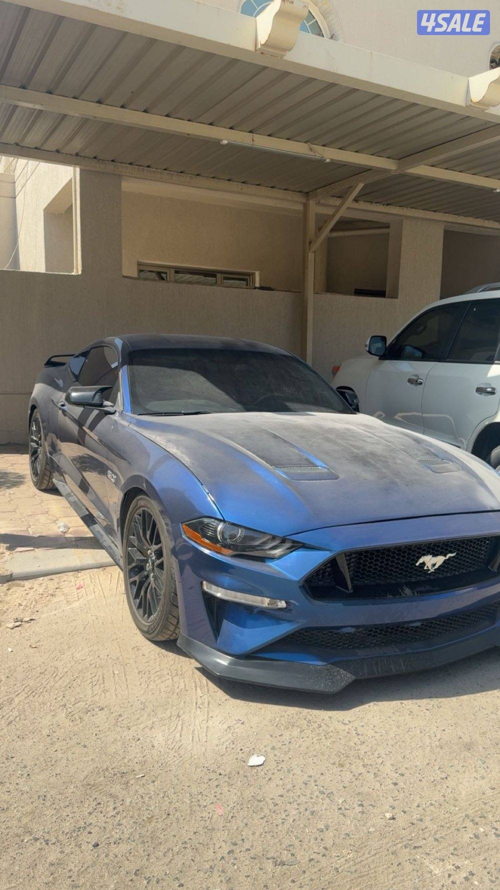 للبيع موستنق 5.0 موديل 2016 قير عادي2