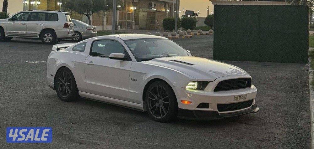 للبيع موستنق0